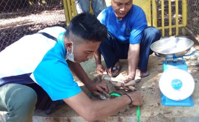 Keluarga Baru Di Kawasan Hutan Dengan Tujuan Khusus (KHDTK) Sawala-Mandapa