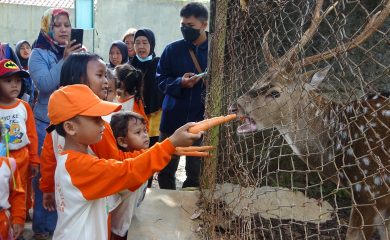 Pendidikan Lingkungan Taman Kanak-kanak (TK) Pancawati dan Badruzaman