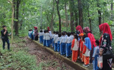 Pendidikan Lingkungan Taman Kanak-Kanak (TK) Di Arboretum Mandapa