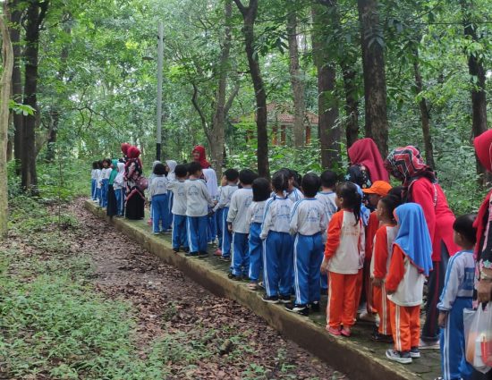Pendidikan Lingkungan Taman Kanak-Kanak (TK) Di Arboretum Mandapa