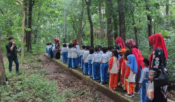 Pendidikan Lingkungan Taman Kanak-Kanak (TK) Di Arboretum Mandapa